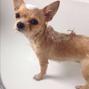 Meet your Posher, Alexios